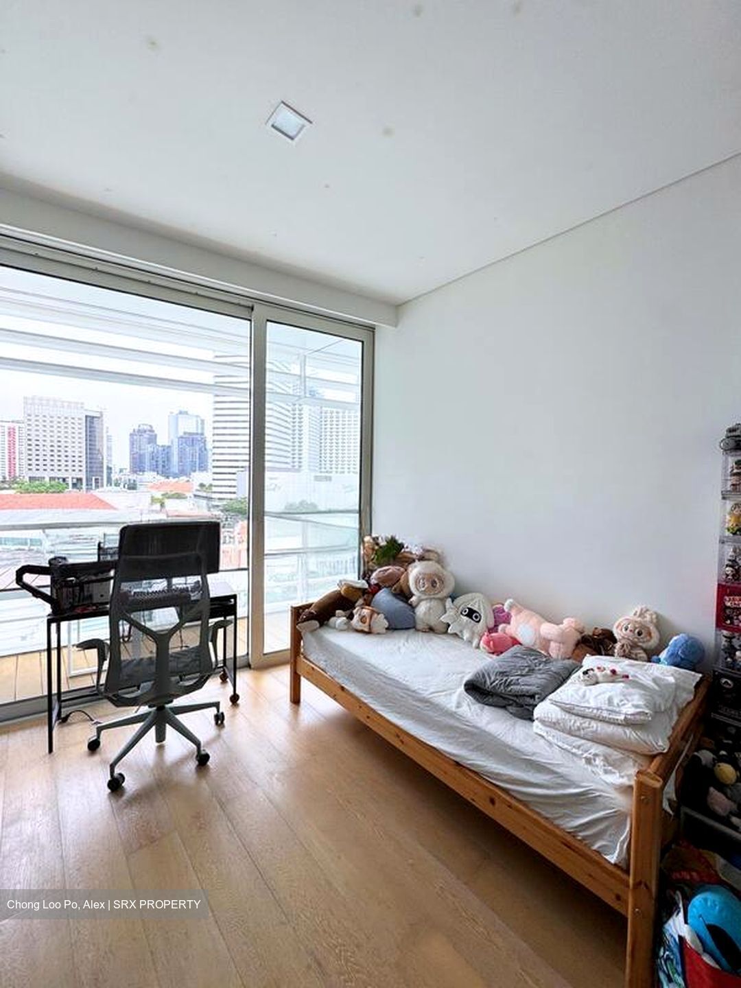 Stamford Road (D6), Condominium #566122901